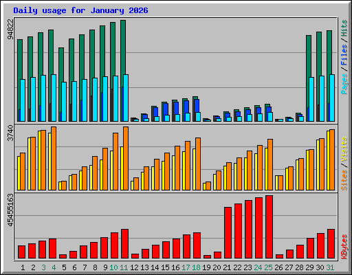 Daily usage for January 2026