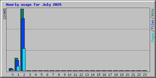 Hourly usage for July 2025
