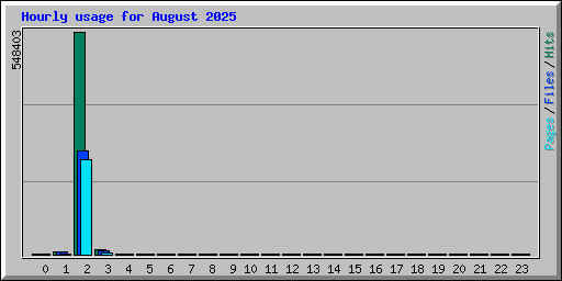 Hourly usage for August 2025
