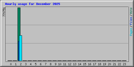 Hourly usage for December 2025