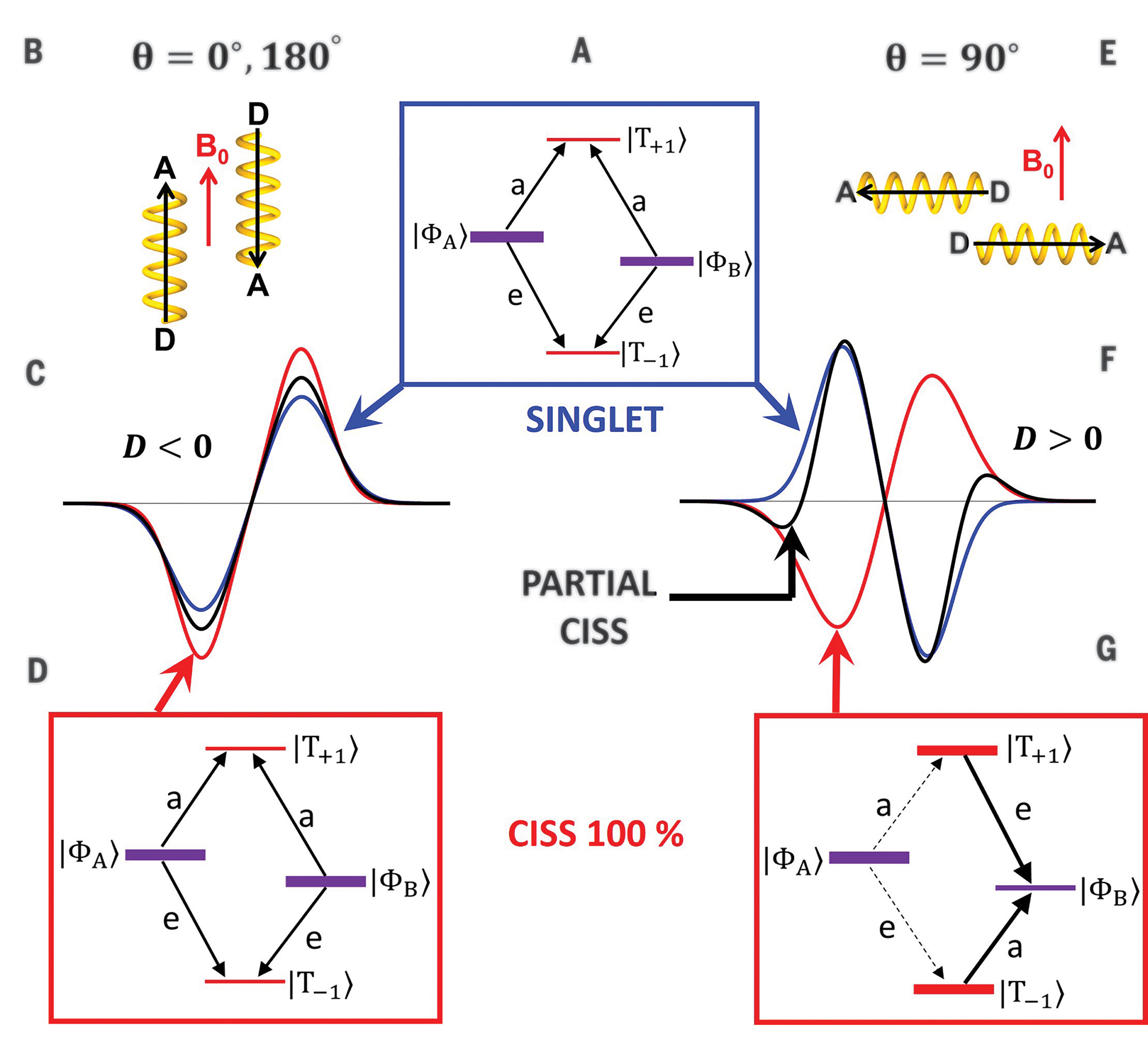 Selective Interstitial Hydration Explains Anomalous Structural