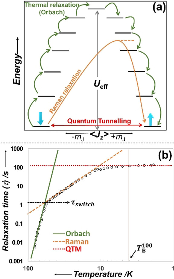 Molecular Magnetism Web